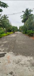 Image of 3080 Sq.ft Residential Plot / Land for sale in Uthandi, Chennai for Rs. 43000000