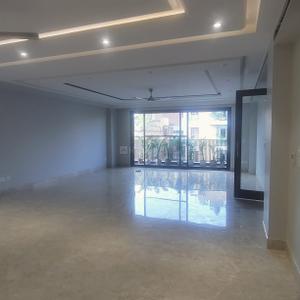 Hall Image of 1800 Sq.ft 3 BHK Builder Floor for sale in Kalkaji New Delhi for Rs. 57500000