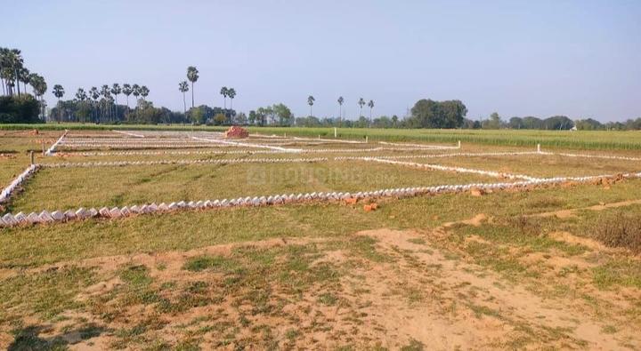Bihta Main Image 1