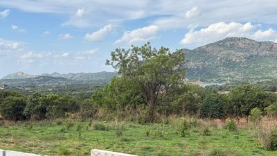 Image of 5000 Sq.ft Residential Plot / Land for sale in Rewild Doddaballapura, Doddaballapura, Bengaluru for Rs. 20000000