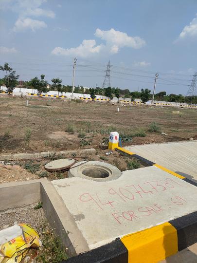 Prime LR Green Shields Main Image 1