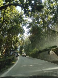 Image of 1440 Sq.ft Residential Plot / Land for sale in Kalagaon, Dehradun for Rs. 12800000