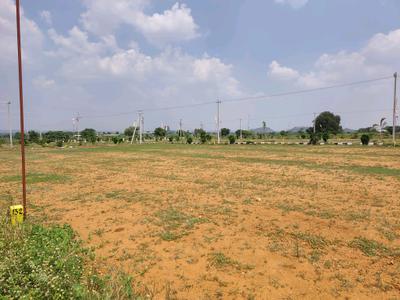 Residential Plot