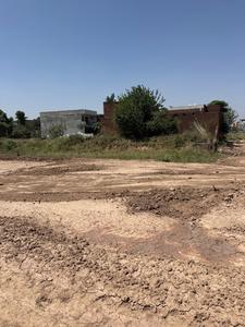 Image of 125 Sq.ft Residential Plot / Land for sale in Gillco Palms, Sector 115, Mohali for Rs. 8125000