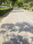 Spiti Palm Estate Internal Roads 1