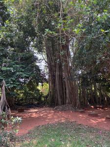 Image of 2000 Sq.ft 4 BHK Independent House for rent in Kottakuppam, Puducherry for Rs. 85000