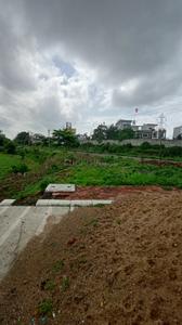 Treasure Fantasy Plot View 3
