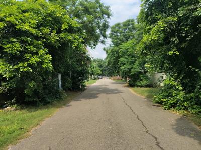 Image of 220 Sq.ft Residential Plot / Land for sale in Eachachhar, Greater Noida for Rs. 39000000