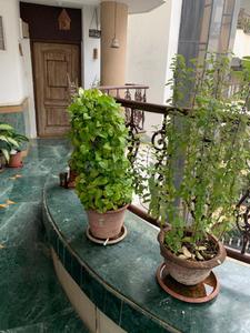 Balcony Image of 1200 Sq.ft 2 BHK Apartment / Flat for sale in Aditya Manikchand Malabar Hills , Camp Pune for Rs. 11500000