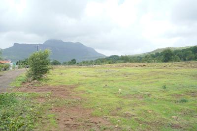 Image of 10890 Sq.ft Residential Plot / Land for sale in Koroli, Nashik for Rs. 4500000
