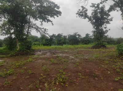 Image of 163350 Sq.ft Residential Plot / Land for sale in Murbad, Thane for Rs. 75000000