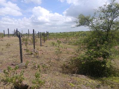 Image of 500 Sq.ft Residential Plot / Land for sale in Lohegaon, Pune for Rs. 1605000