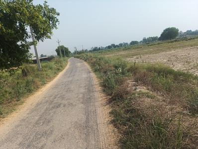 Sarsaul Plot View 2