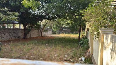 Residential Plot