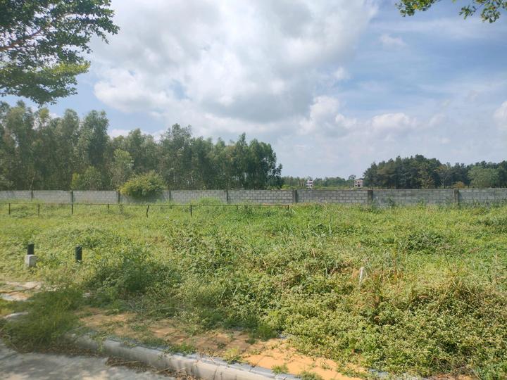 AP Township Main Image 1