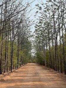 Image of 120 Sq.ft Residential Plot / Land for sale in USM My City Go Ranch, Kolanupaka, Yadadri Bhuvanagiri for Rs. 1320000