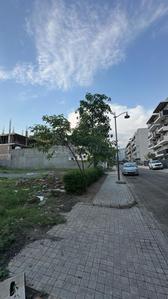 Residential Plot