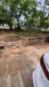 Koba Plot View 3