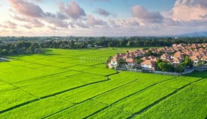 Jubilee Parklane Extension Main Image 1