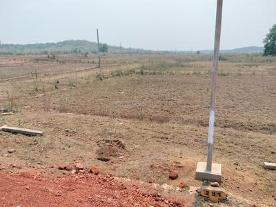 Trisulia Plot View 3
