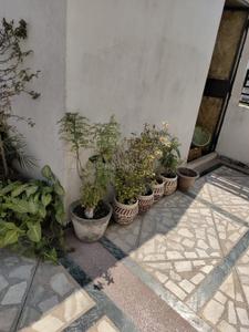 Balcony Image of 550 Sq.ft 1 RK Builder Floor for rent in Khirki Extension New Delhi for Rs. 14000
