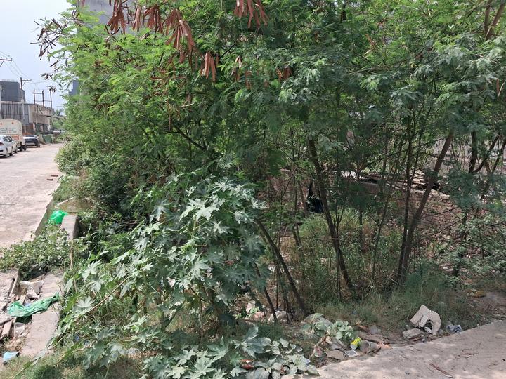 Sector 104 Main Image 1