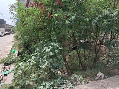 Sector 104 Plot View 1