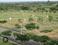 Ramavarapadu Plot View 2