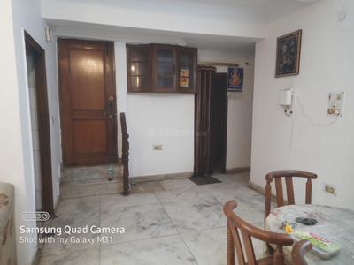 Hall Image of 1150 Sq.ft 2 BHK Builder Floor for rent in Sector 19 Noida for Rs. 38125