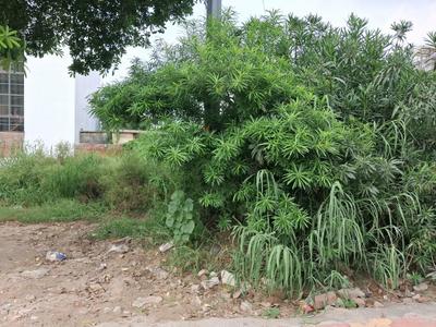 sector 43 noida Plot View 1
