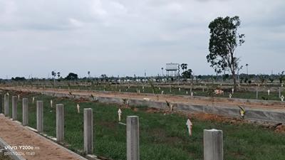 Image of 1350 Sq.ft Residential Plot / Land for sale in Kankipadu, Vijayawada for Rs. 2400000