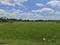 Mahindra World City Plot View 1