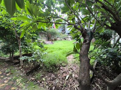Image of 2700 Sq.ft 3 BHK Independent House for sale in Rahatani, Pune for Rs. 45000000