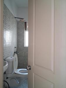 Common Bathroom Image of 1285 Sq.ft 3 BHK Apartment / Flat for sale in Paras Tierea, Sector 137 Noida for Rs. 11200000
