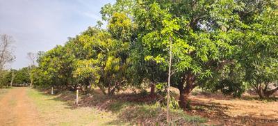 Image of 7000 Sq.ft Residential Plot / Land for sale in Vengal, Chennai for Rs. 2400000