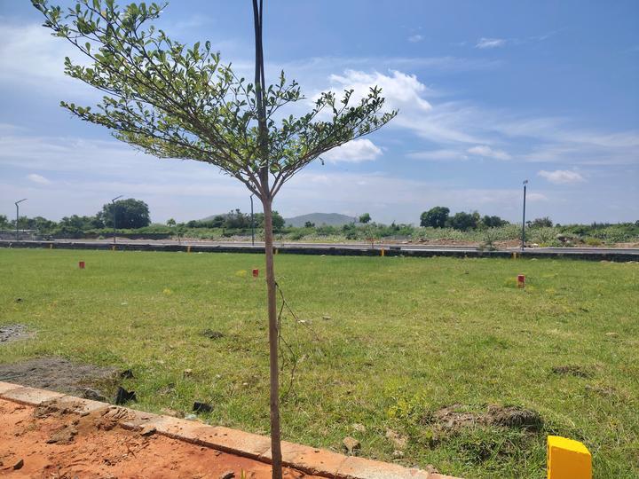 Sunstone Garden Phase 1 Main Image 1