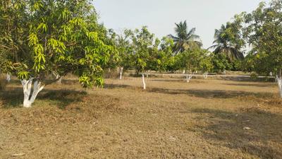 Image of 600 Sq.ft Residential Plot / Land for sale in Sameera Universe, Mamandur, Chengalpattu, Chennai for Rs. 960000