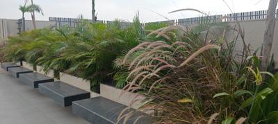 Balcony Image of 2500 Sq.ft 3 BHK Apartment / Flat for rent in Ashok Nagar Jaipur for Rs. 130000