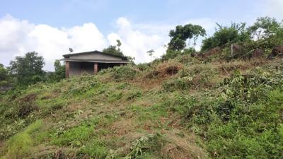 Image of 392 Sq.ft Residential Plot / Land for sale in Dapoli Camp, Dapoli for Rs. 2400000