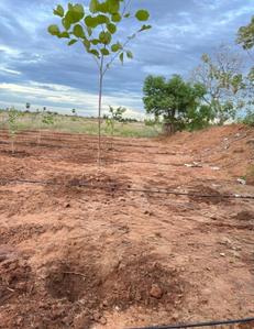 Image of 9800 Sq.ft Residential Plot / Land for sale in Moolakaraipatti, Tirunelveli for Rs. 1900000
