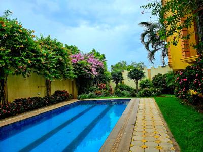 Swimming Pool Image of 7700 Sq.ft 5 BHK Independent House for sale in Padur Chennai for Rs. 105000000