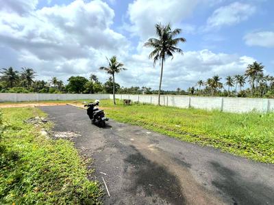 Kakkanad Plot View 3
