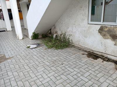 Balcony Image of 1850 Sq.ft 4 BHK Independent House for sale in Saiyed Vasna Vadodara for Rs. 9700000