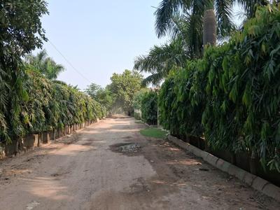 Image of 9072 Sq.ft Residential Plot / Land for sale in Dkrrish Green Beauty Farms, Sector 135, Noida for Rs. 9200000