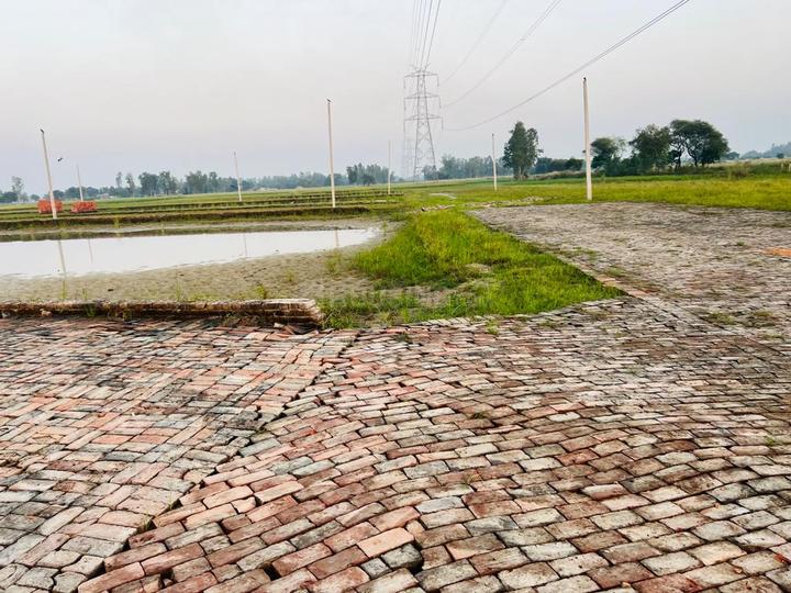 Lakshvar Vajaha Main Image 1