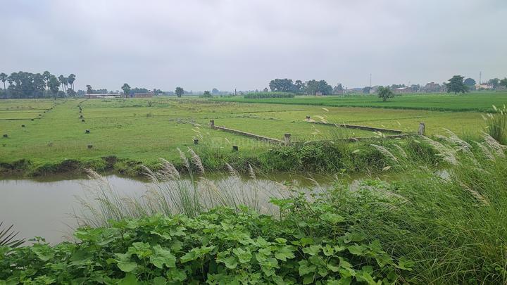 Mahajpura Main Image 1