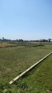 Image of 800 Sq.ft Residential Plot / Land for sale in Gosainganj, Lucknow for Rs. 1600000