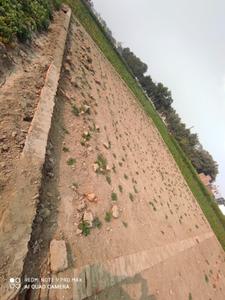 Image of 2700 Sq.ft Residential Plot / Land for sale in Nekpur, Farrukhabad for Rs. 2500000