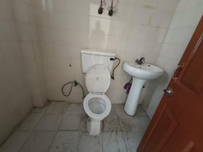 Bathroom Image of 1260 Sq.ft 2 BHK Apartment / Flat for rent in TDI Kingsbury Apartments, Sector 61 Sonipat for Rs. 10999
