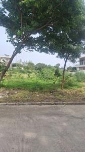 Aarone Oasis Plot View 2